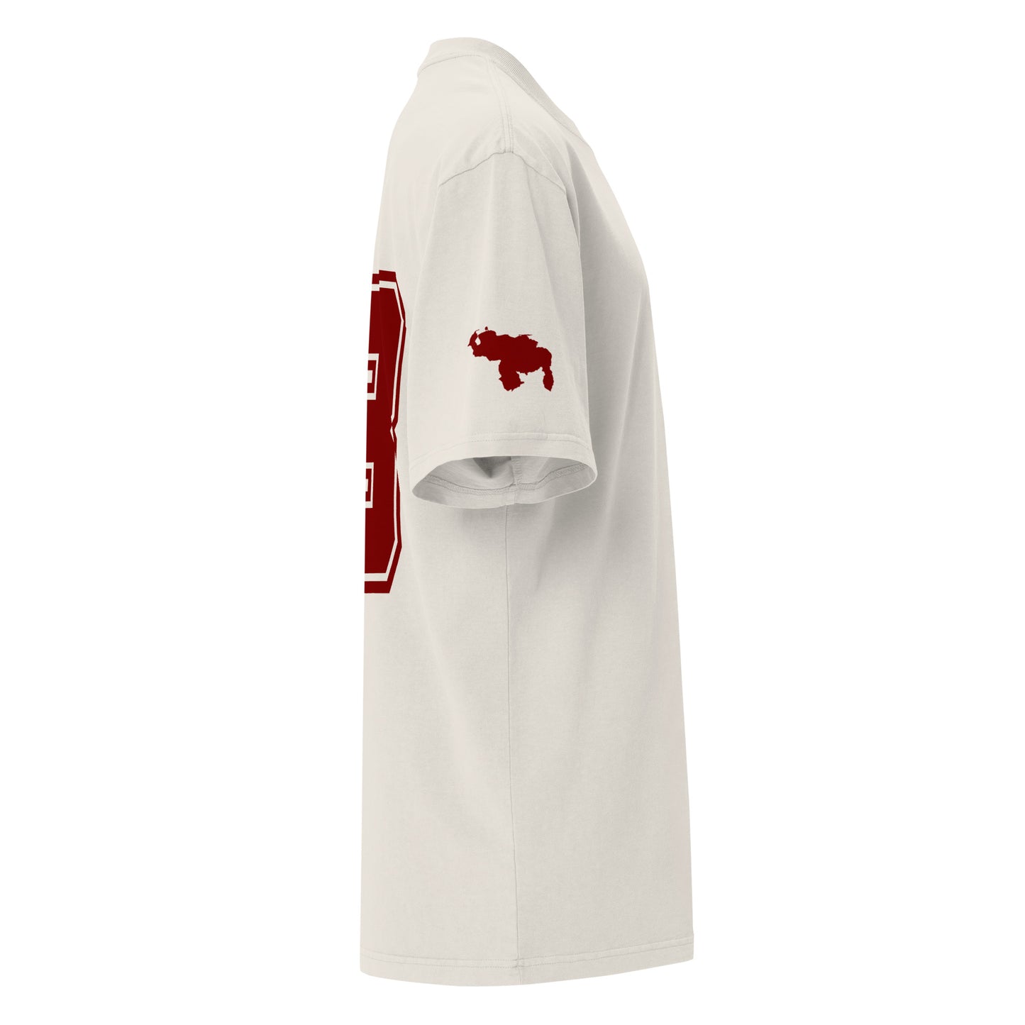 Camiseta oversize Venezuela Copa America LE