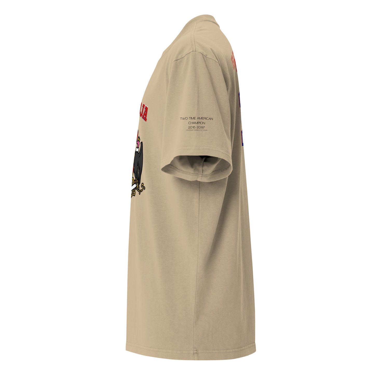 Camiseta Oversize Copa América de La Roja